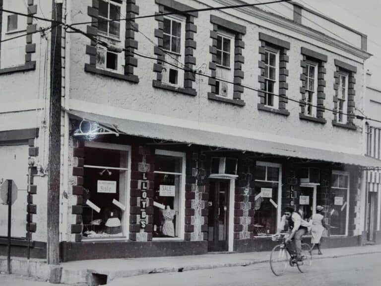 About Lloyds Department Store